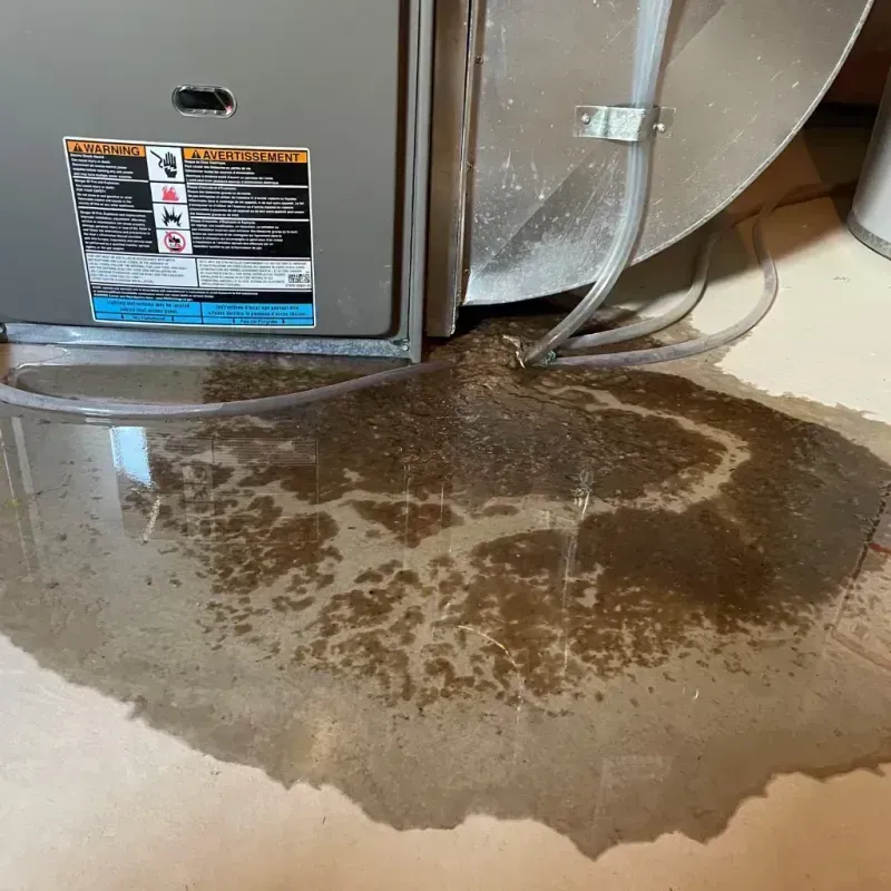 Appliance Leak Cleanup in East Northport, NY